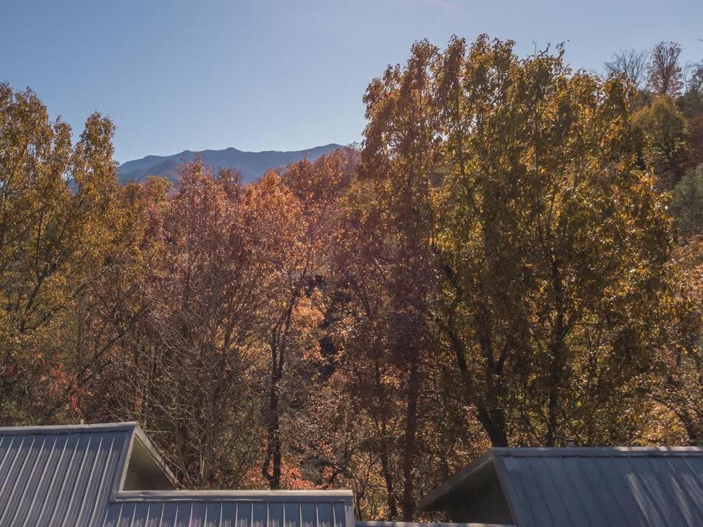 Sasquatch Lodge E Sleeps 13 Gatlinburg Kültér fotó